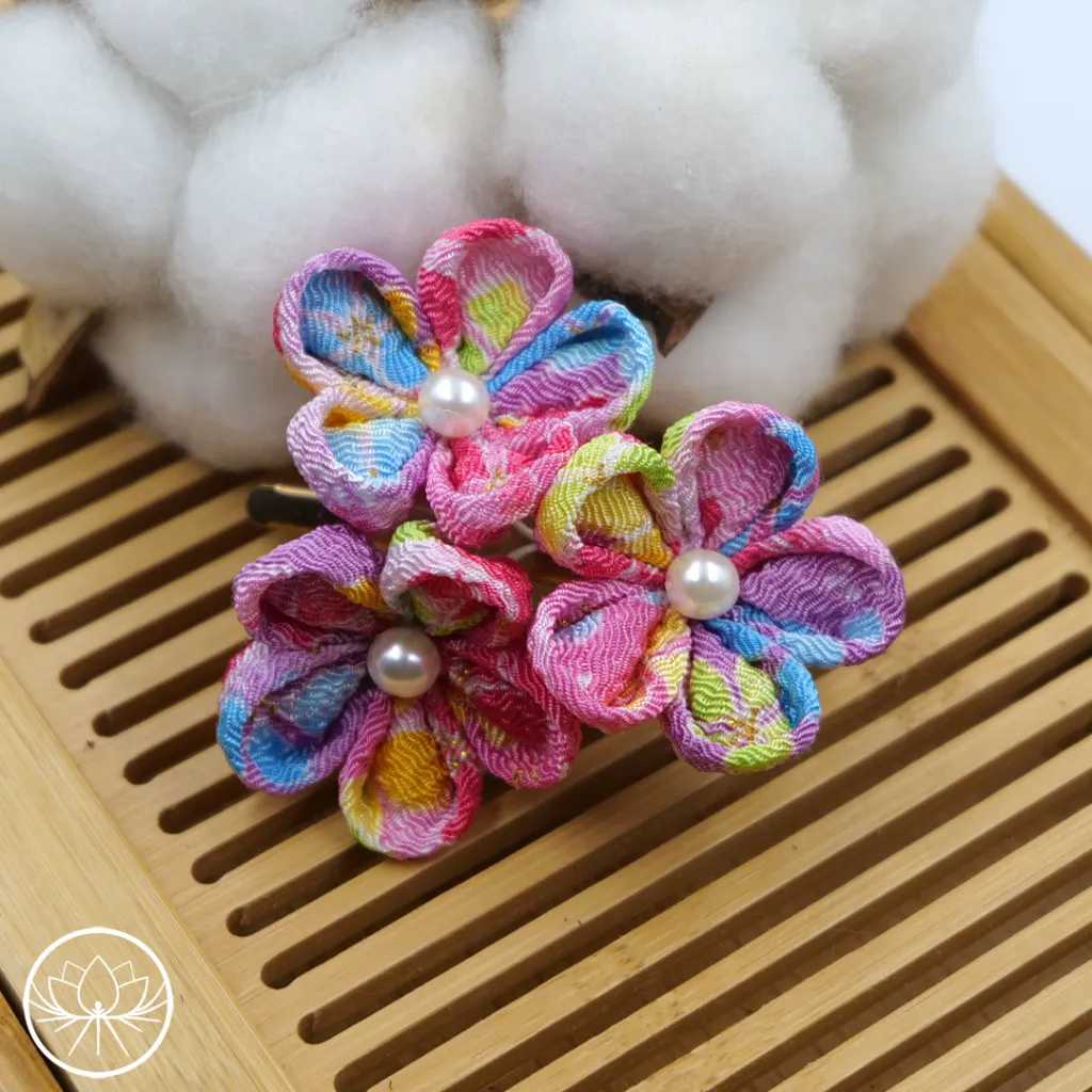 hairclip-6.webp